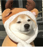 ΢ͼƬ_20220425114106.png